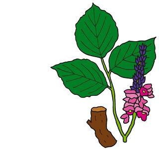 ����Ή��őI�΂��A���ɂ��ďڂ������J�ɉ������T�C�g�w����Ή��ɂ͂ǂ̐A���H�x